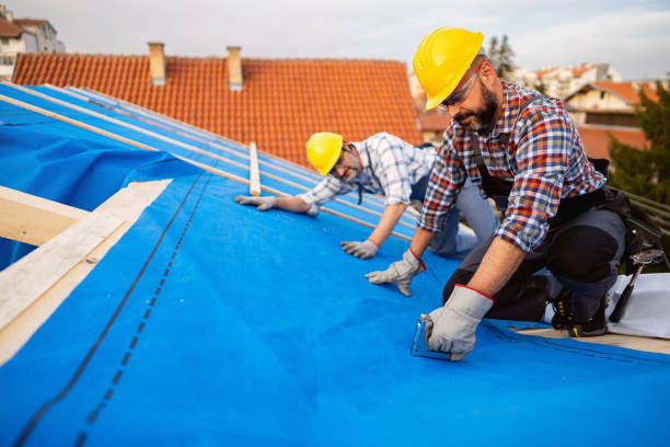 Best Metal Roofing Contractor  in Pineville, KY