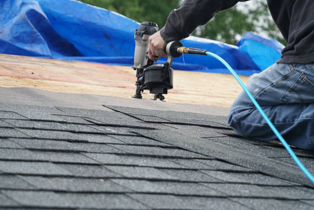 Best Storm Damage Roof Repair  in Pineville, KY